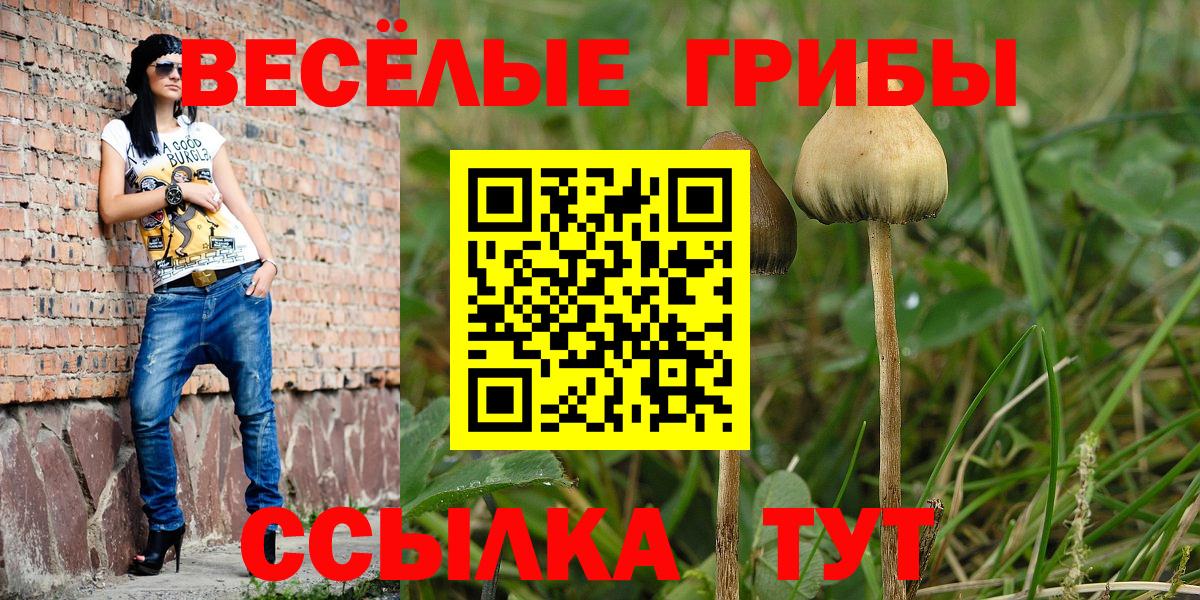 Галлюциногенные грибы мицелий Кемерово