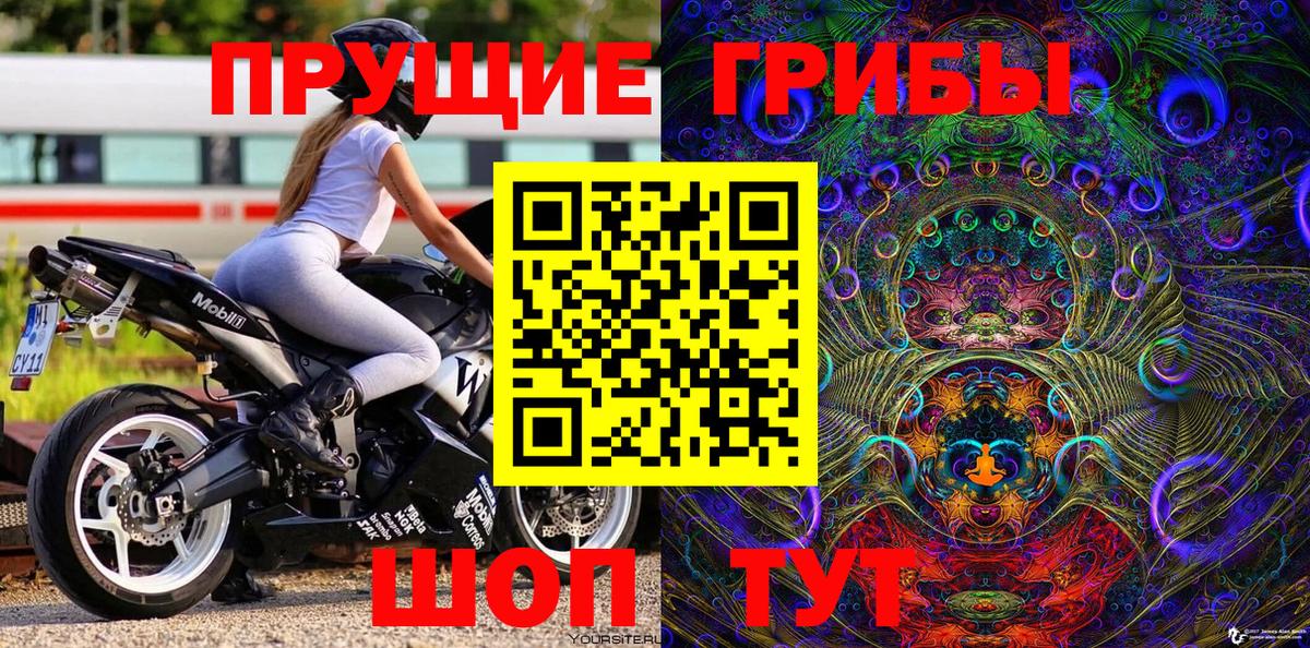 Кемерово  Псилоцибиновые грибы Psilocybine cubensis  Псилоцибиновые грибы Cubensis  Вход с VPN 